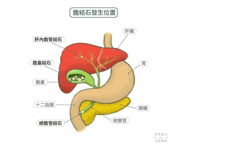 肝膽相照1